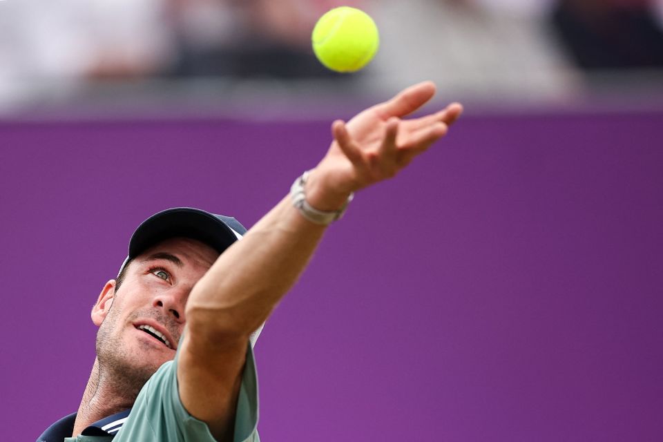 它是全队协 它是全队协