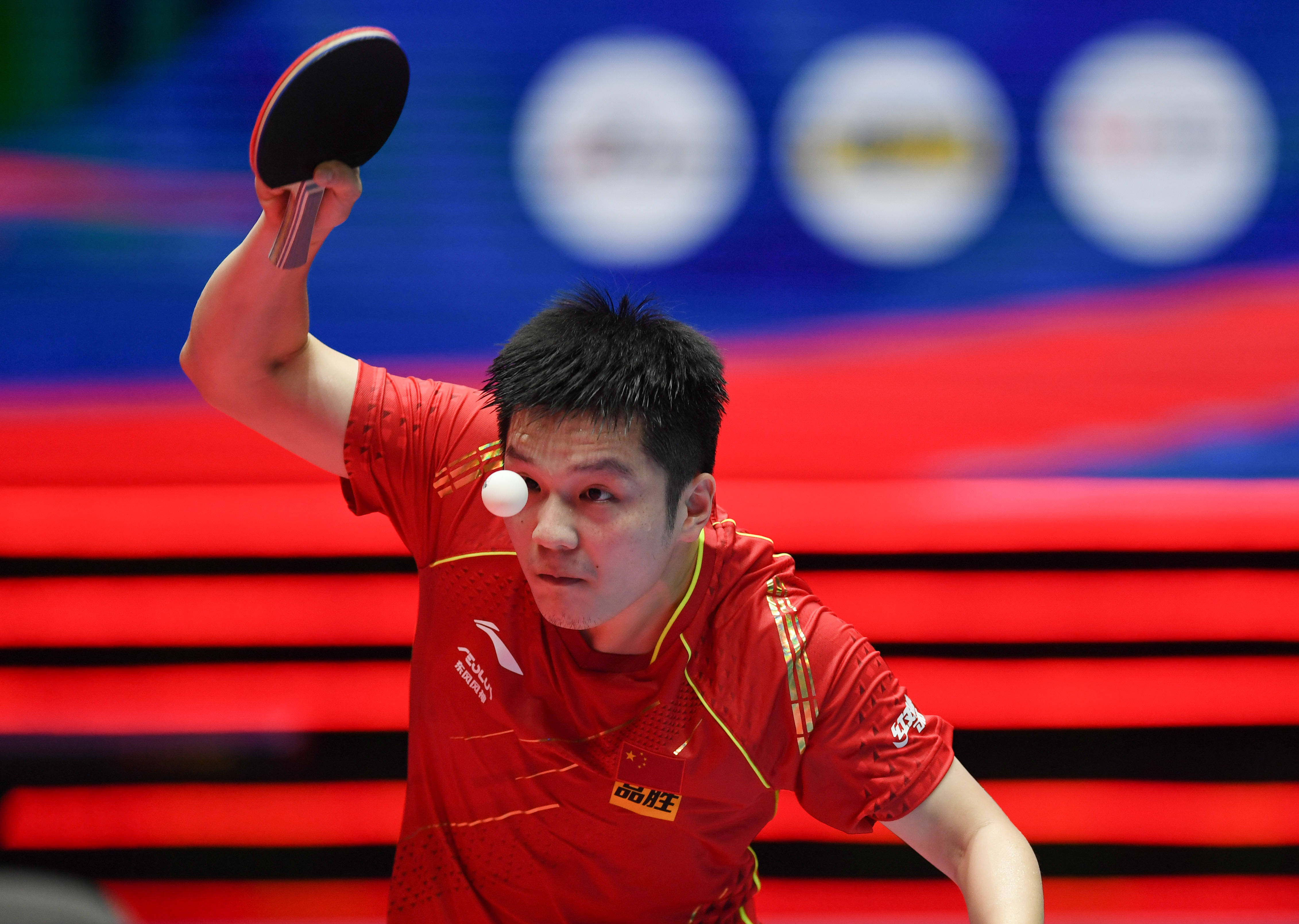 这次胜利也 这次胜利也