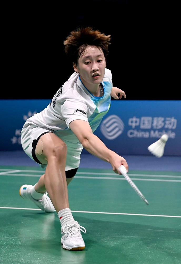 我的字典里 我的字典里